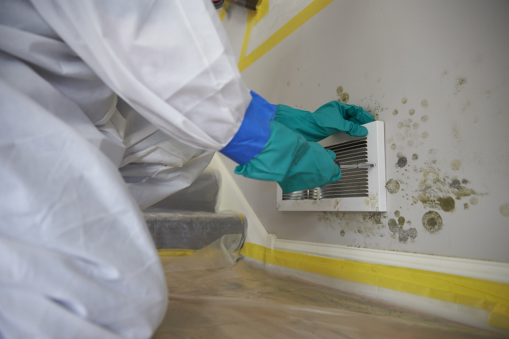 BLACK MOULD REMOVAL FROM FLOOD DAMAGE